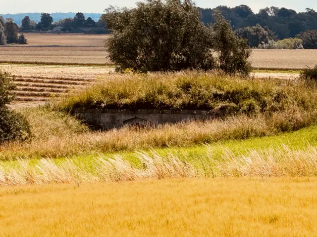 Billede af Prøvegaardsvej Trinbræt - Trinbræt er nedrevet, men den gamle bro findes stadig.