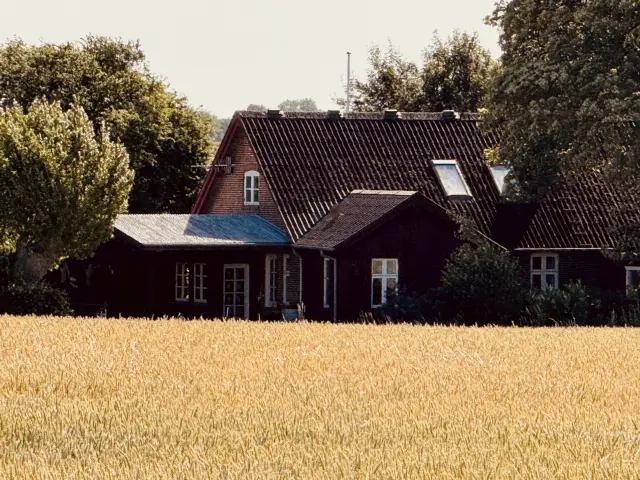 Billede af Halling Station.
