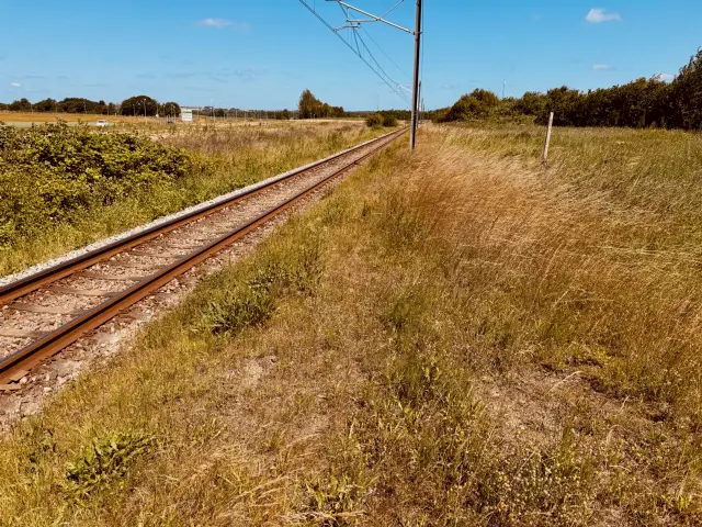 Billede af Egelund Trinbræt - Trinbræt er nedrevet, men Egelund Trinbræt har ligget her.