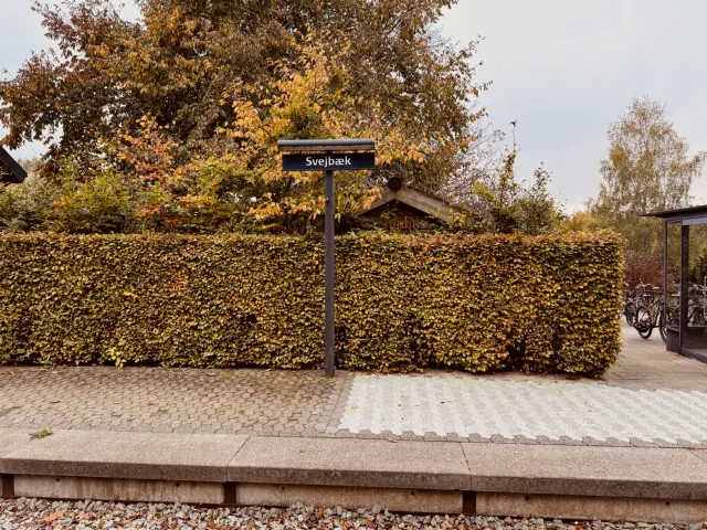 Billede af Svejbæk Station.