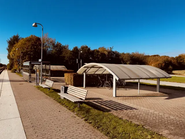 Billede af Birk Centerpark Station.