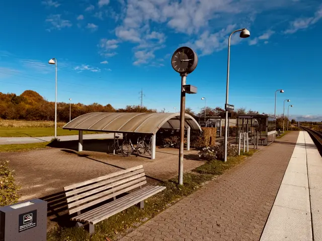 Billede af Birk Centerpark Station.
