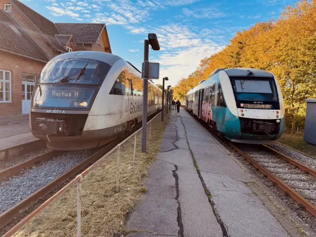 Billede af GoCollective AR 3071, tidligere DSB MQ 4121-4921 i krydsning med GoCollective AR 1027, fotograferet ud for Ikast Station.