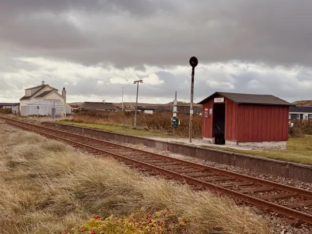 Billede af Vrist Station.