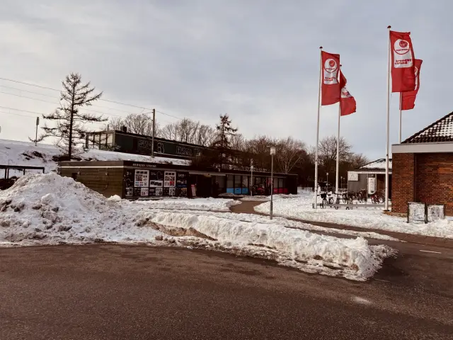 Billede af Brøndby Strand S-togstrinbræt god dækket med sne.