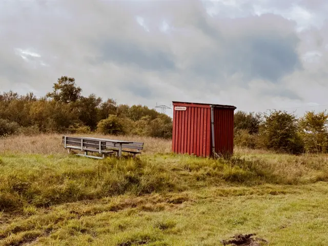 Billede af Brødløs Trinbræt.