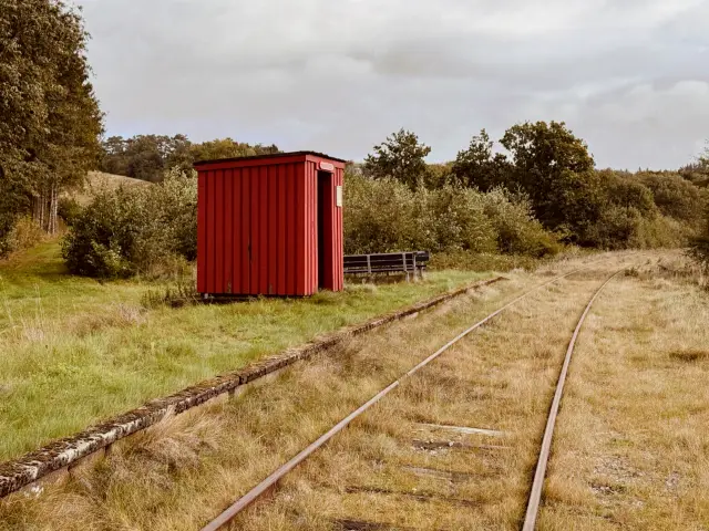 Billede af Brødløs Trinbræt.